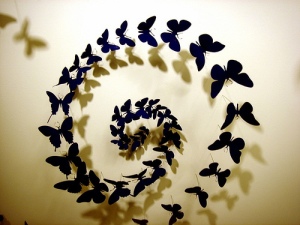 butterfly spiral